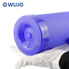 WUJO South American 1000ml Blue Hot Cold Water Coffee Insulated Thermal Plastic Vaccum Flask with Straw